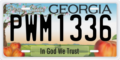 GA license plate PWM1336