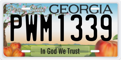 GA license plate PWM1339