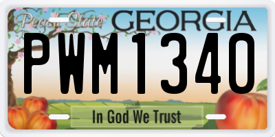 GA license plate PWM1340