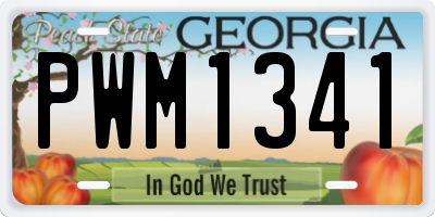 GA license plate PWM1341