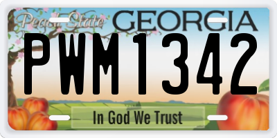 GA license plate PWM1342