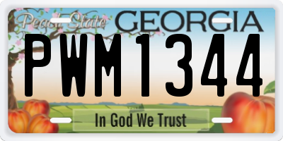 GA license plate PWM1344