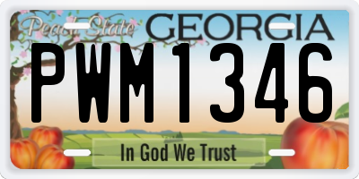 GA license plate PWM1346