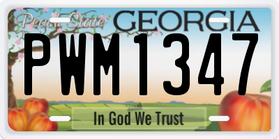 GA license plate PWM1347