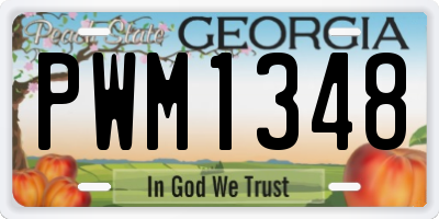 GA license plate PWM1348