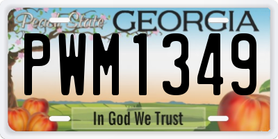 GA license plate PWM1349