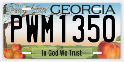 GA license plate PWM1350