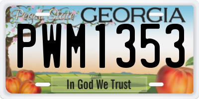 GA license plate PWM1353
