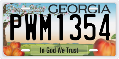 GA license plate PWM1354