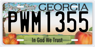 GA license plate PWM1355