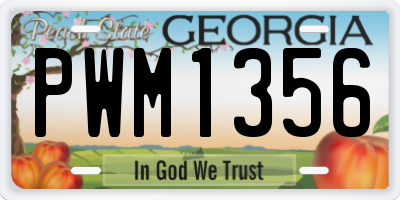 GA license plate PWM1356