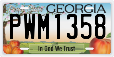 GA license plate PWM1358