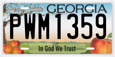 GA license plate PWM1359