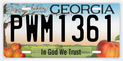 GA license plate PWM1361