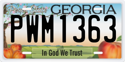 GA license plate PWM1363