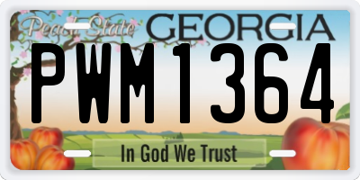 GA license plate PWM1364
