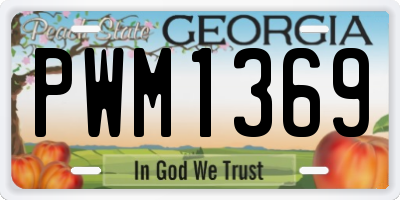GA license plate PWM1369