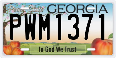 GA license plate PWM1371