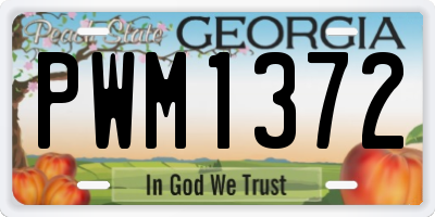 GA license plate PWM1372