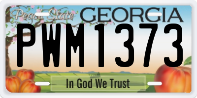 GA license plate PWM1373