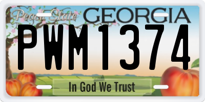 GA license plate PWM1374