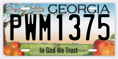 GA license plate PWM1375