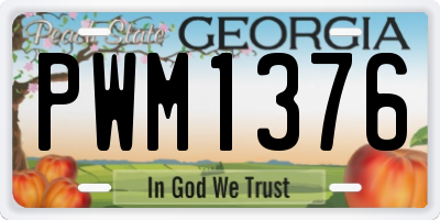 GA license plate PWM1376