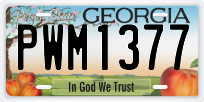 GA license plate PWM1377