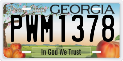 GA license plate PWM1378