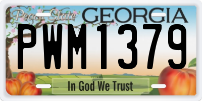 GA license plate PWM1379