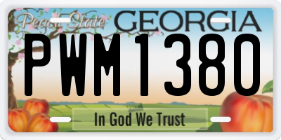GA license plate PWM1380
