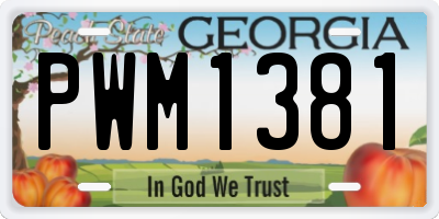 GA license plate PWM1381