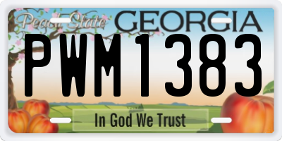 GA license plate PWM1383
