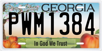 GA license plate PWM1384