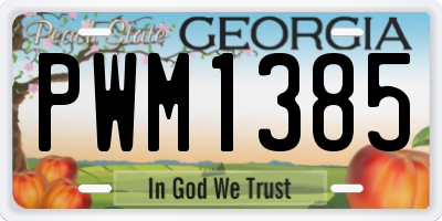 GA license plate PWM1385