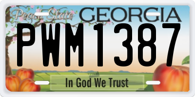 GA license plate PWM1387