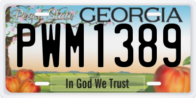 GA license plate PWM1389