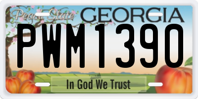GA license plate PWM1390