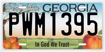 GA license plate PWM1395