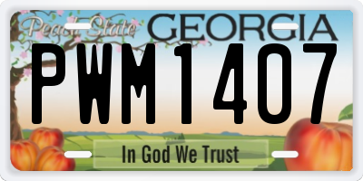 GA license plate PWM1407