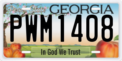 GA license plate PWM1408