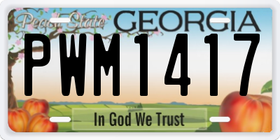 GA license plate PWM1417