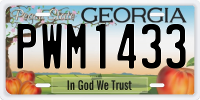 GA license plate PWM1433