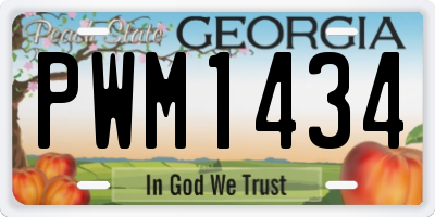 GA license plate PWM1434