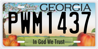 GA license plate PWM1437