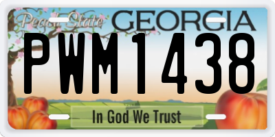 GA license plate PWM1438