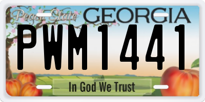 GA license plate PWM1441