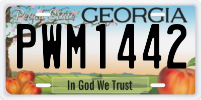 GA license plate PWM1442