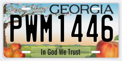 GA license plate PWM1446