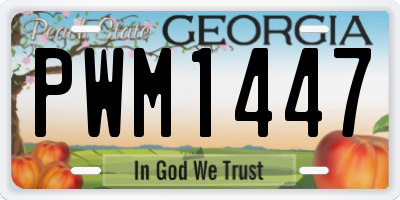 GA license plate PWM1447